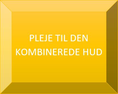 Kombineret hud