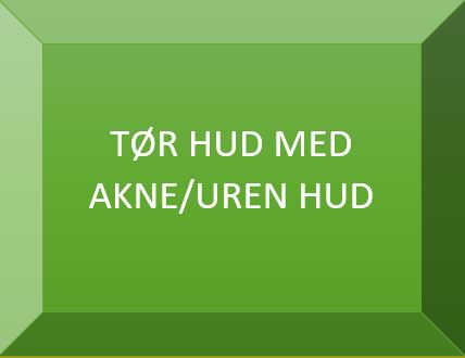 Tør hud med akne/uren hud